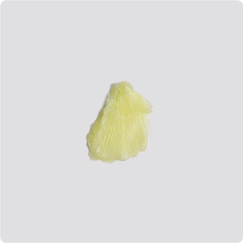 Texture baume fondant au camphre et menthol Biotecmer