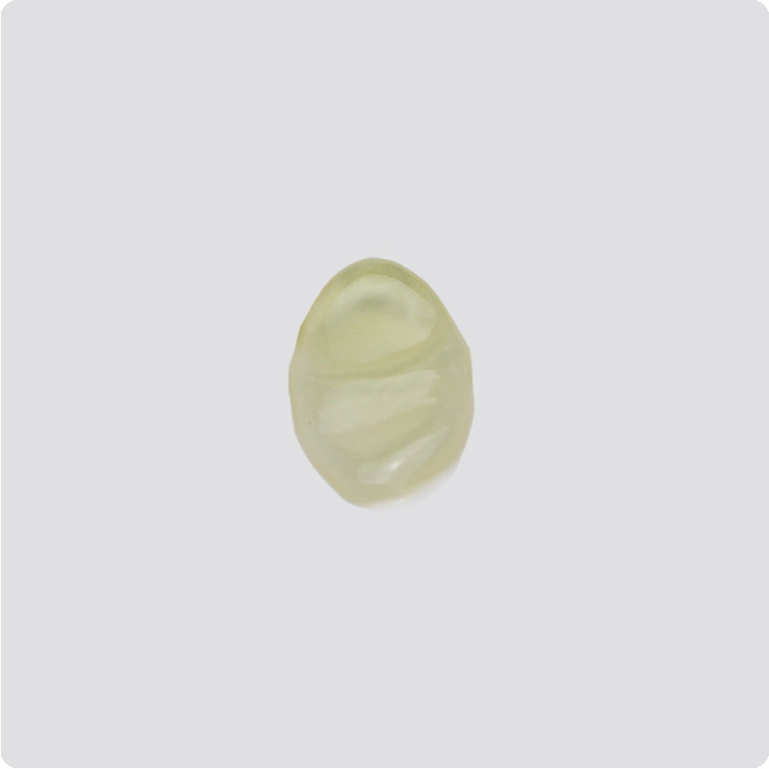 Texture gel transparent du nettoyant visage naturel aux algues marines Biotecmer